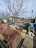 Продажа загородного дома Малое Карлино, Васильковая, 205