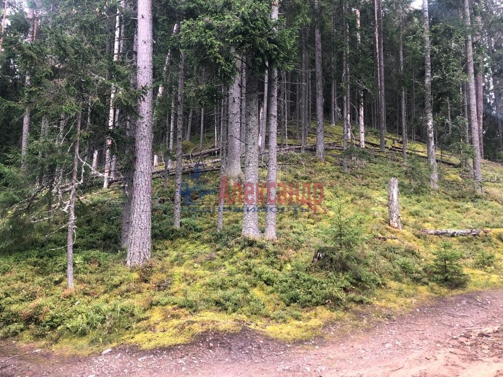 Купить Участок В Снт Боровое Приозерский Район