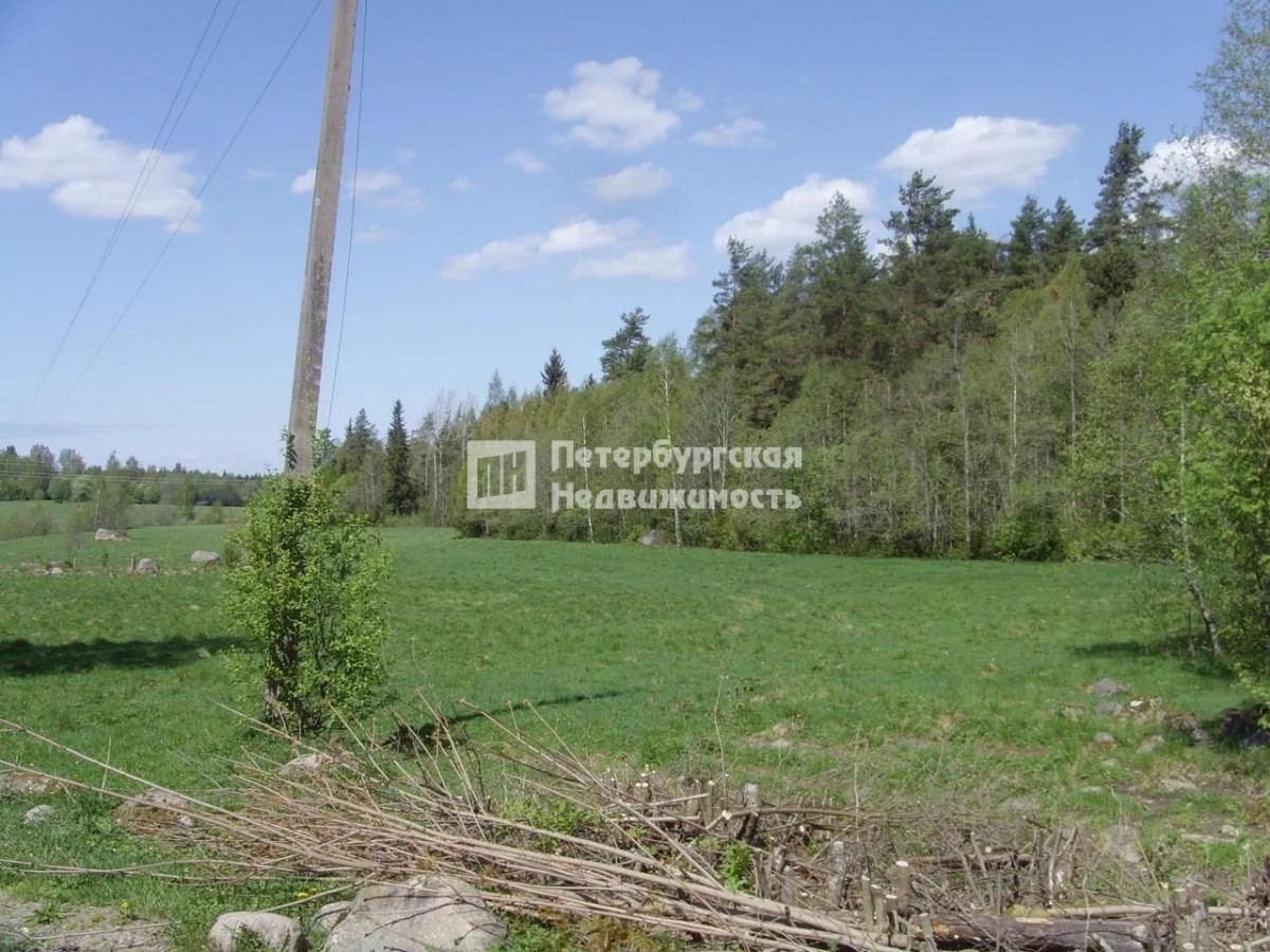 Продажа земельного участка Дятлово. Стоимость 1 200 тыс.р. Площадь 59 соток.