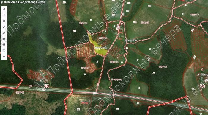 Кадастровая карта населенных пунктов в районе Щелковский