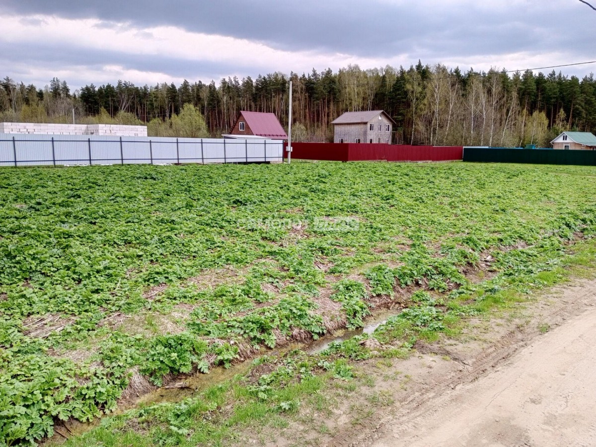 Продажа земельного участка Электросталь, Елизаветино, Фермерская. Стоимость  2 300 тыс.р. Площадь 11 соток.