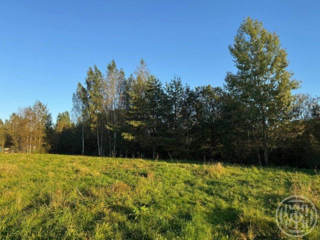Продажа земельного участка Коваши, 48