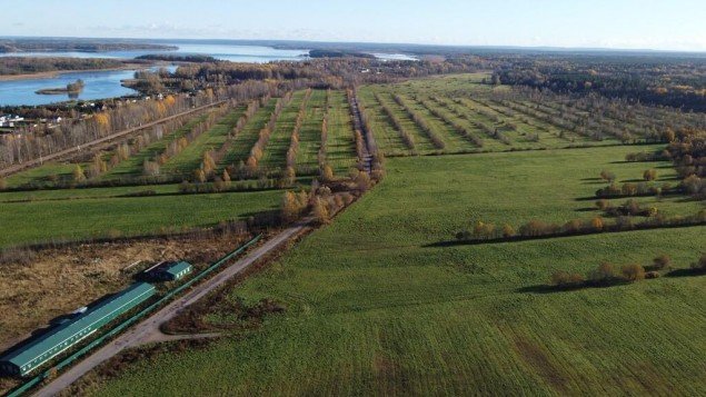 Продажа земельного массива Барышево