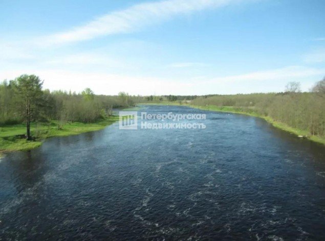 Продажа земельного массива Гусли