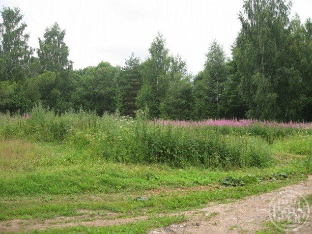 Продажа земельного участка Витово
