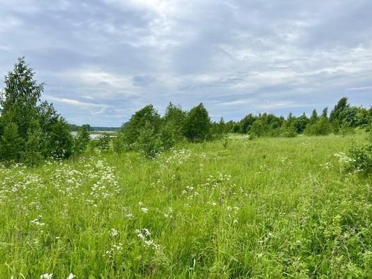 Продажа земельного участка Луховицы, Тюнино