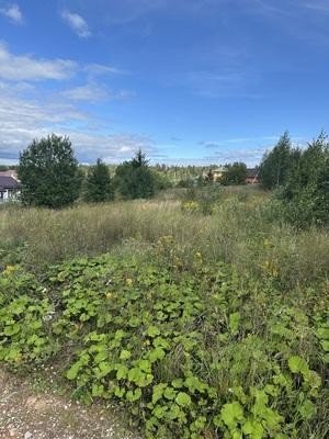 Продажа земельного участка Дмитров, Ульянки, дачного поселка Аусбург
