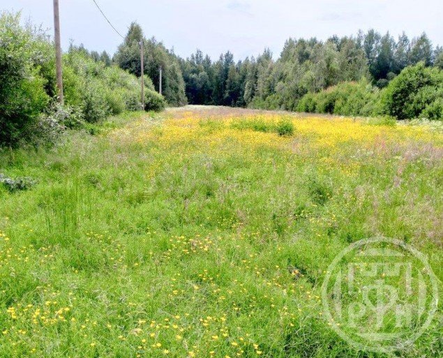 Продажа земельного участка Пушное