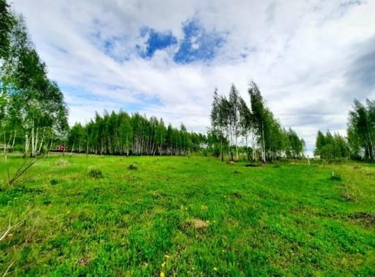 Продажа земельного участка Кашира, Ожерелье, Лиственная