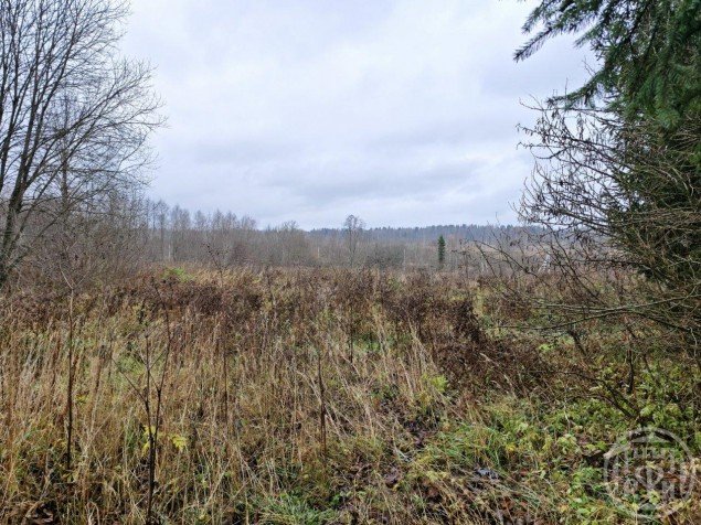 Продажа земельного массива Порожки