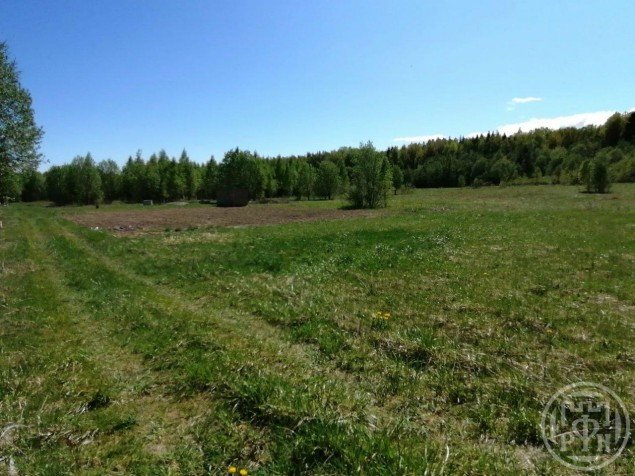 Продажа земельного массива Ириновка