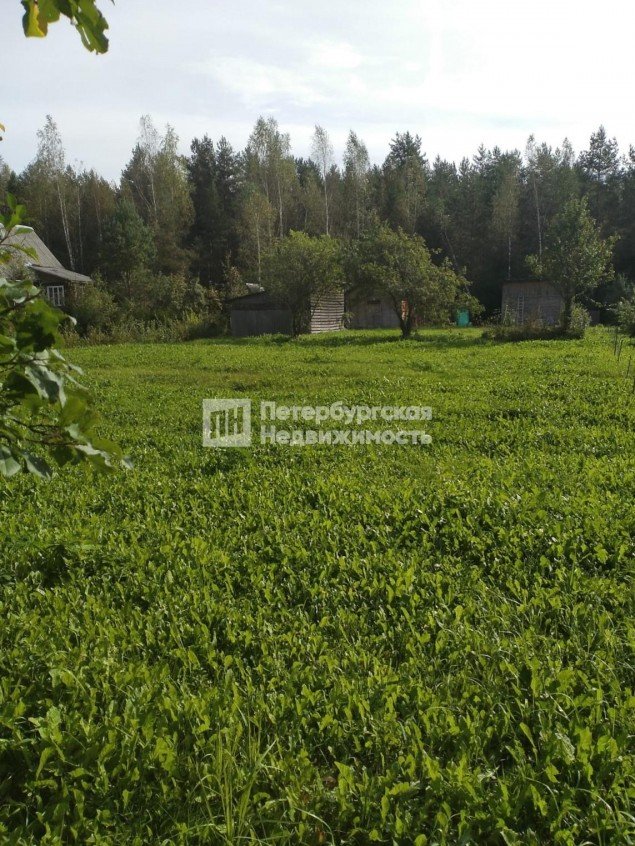 Продажа земельного участка Чаща, Дорожная, 31