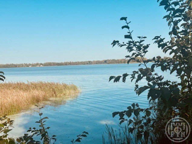 Продажа земельного участка Домкино