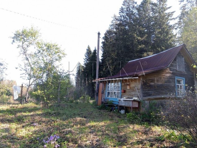 Продажа земельного участка Тикопись, Лесной