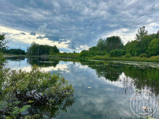 Продажа земельного участка Луга