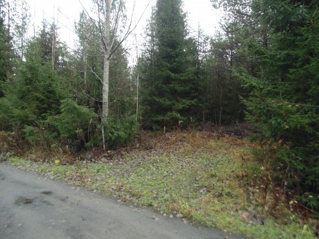 Продажа земельного участка Грузино, Звездочка