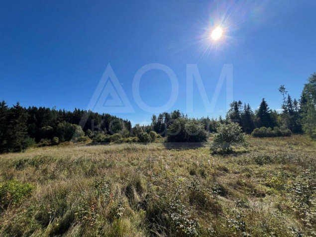 Продажа земельного массива Хвойное д ДНТ Хвойное