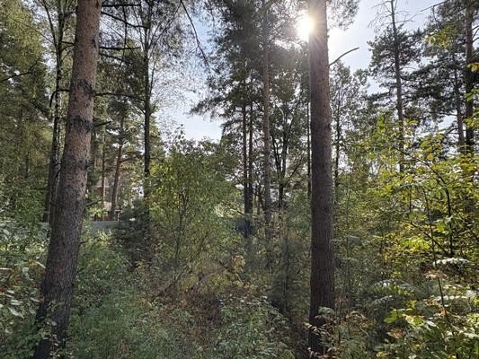 Продажа земельного участка Литвиново, Березовая, 48