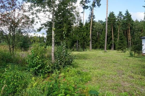 Продажа земельного участка Балашиха, Восход