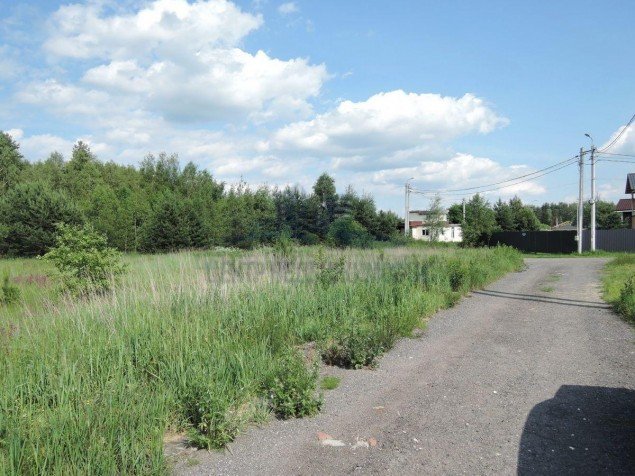 Продажа земельного участка Павловский Посад, Носырево, Цветочная