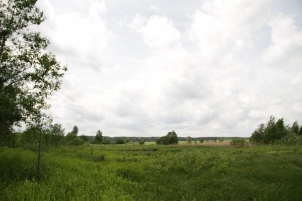 Продажа земельного участка Луховицы, Подлесная Слобода, Луховицкая