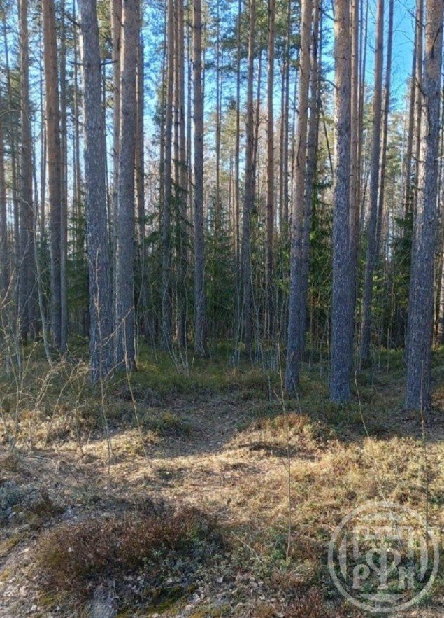 Продажа земельного участка Сады, Контакт