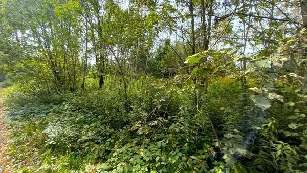 Продажа земельного участка Истра, Качаброво