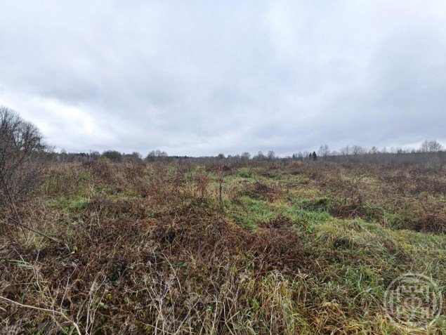 Продажа земельного массива Порожки