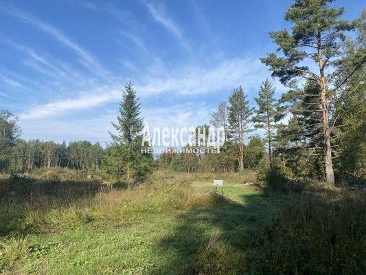 Продажа земельного участка Ларионово