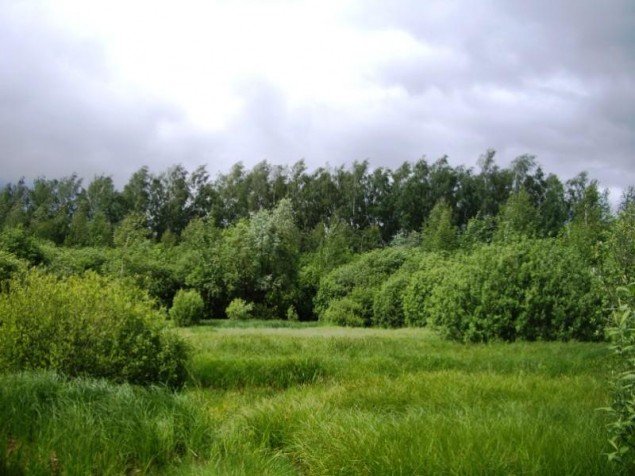 Продажа земельного участка Кубинка