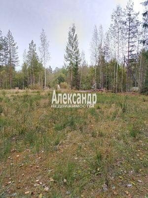 Продажа земельного участка Сампо, Озерная