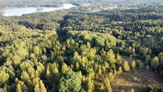 Продажа земельного массива Стеклянный