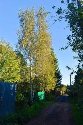 Продажа земельного участка 39 км Мурманского шоссе, Дружба, к.НТ