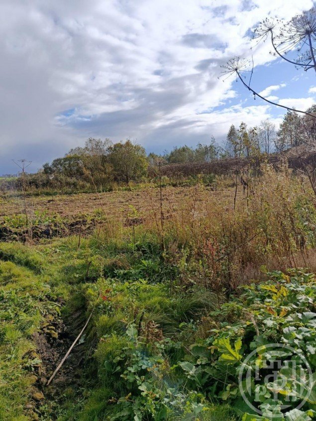 Продажа земельного участка Бетково