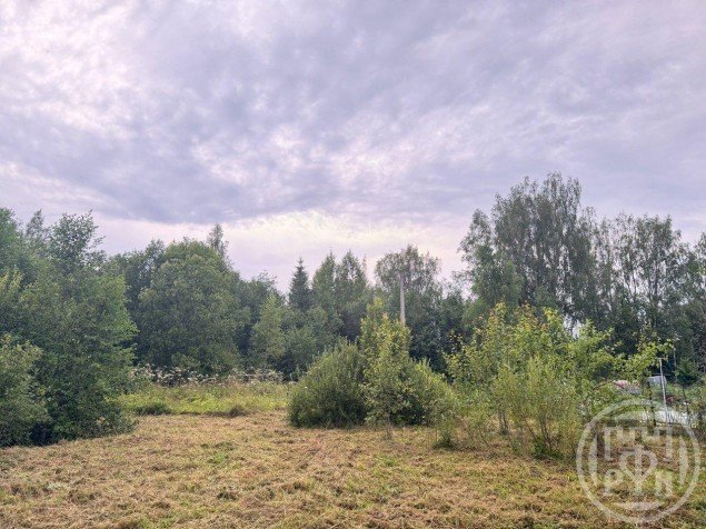 Продажа земельного участка Вырица, Мельничный