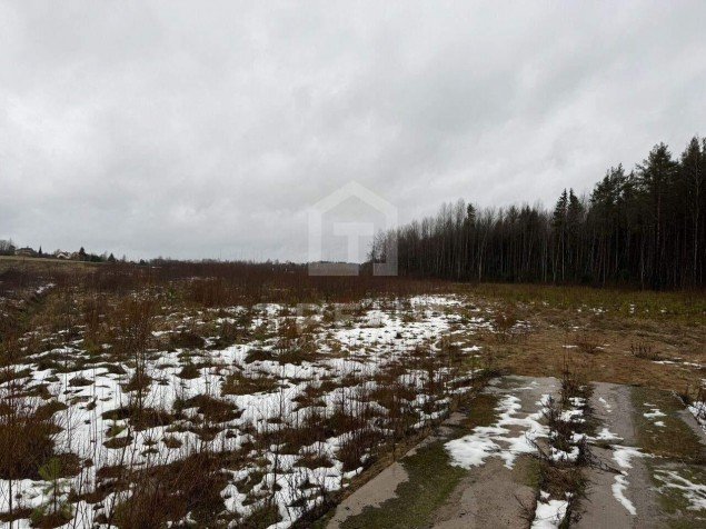 Продажа земельного массива Большое Коновалово, Центральная