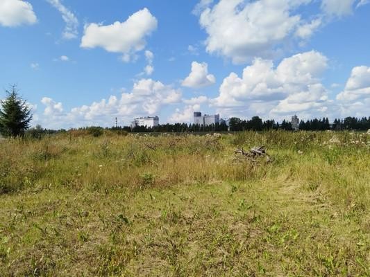 Продажа земельного участка Малые Колпаны, Центральная, 87