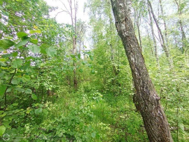 Продажа земельного участка Истра, Красный Посёлок