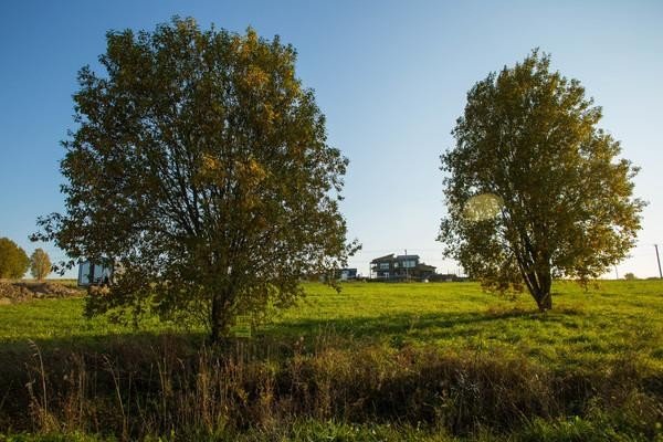 Продажа земельного участка Михайловская
