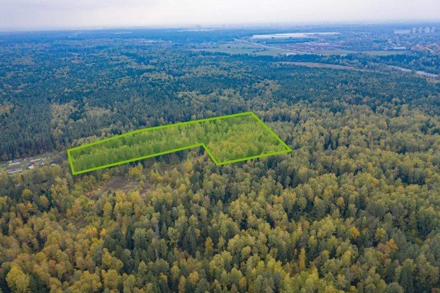 Продажа земельного массива Пушкино, Заветы Ильича, Лесной