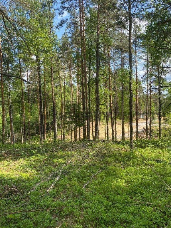 Продажа земельного участка Сертолово