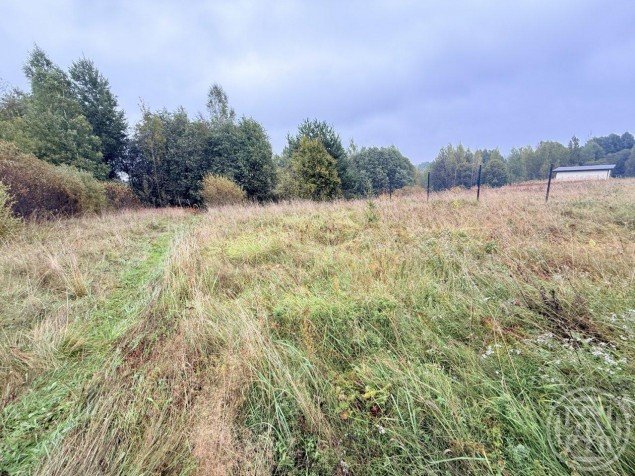 Продажа земельного участка Васильево