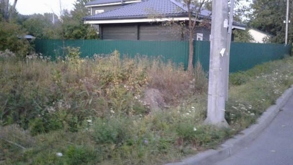 Продажа земельного участка Грибакиных