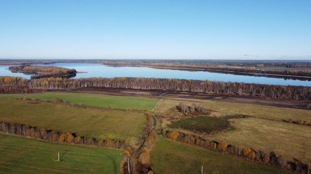 Продажа земельного массива Синицыно