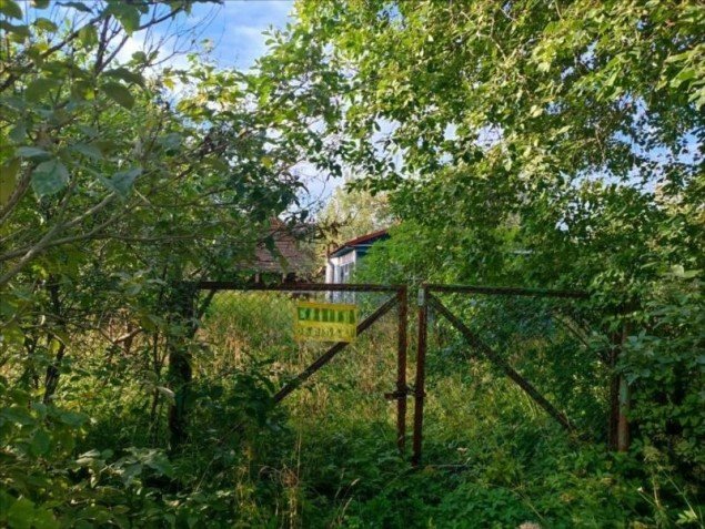 Продажа земельного участка Красное Село