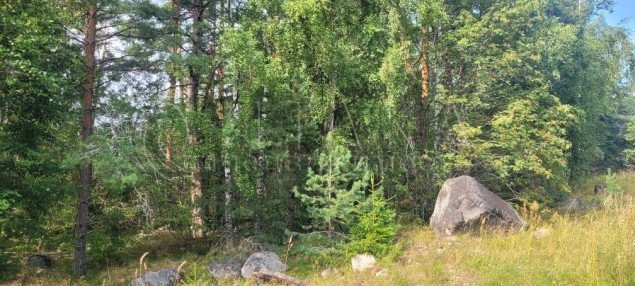 Продажа земельного участка Судаково
