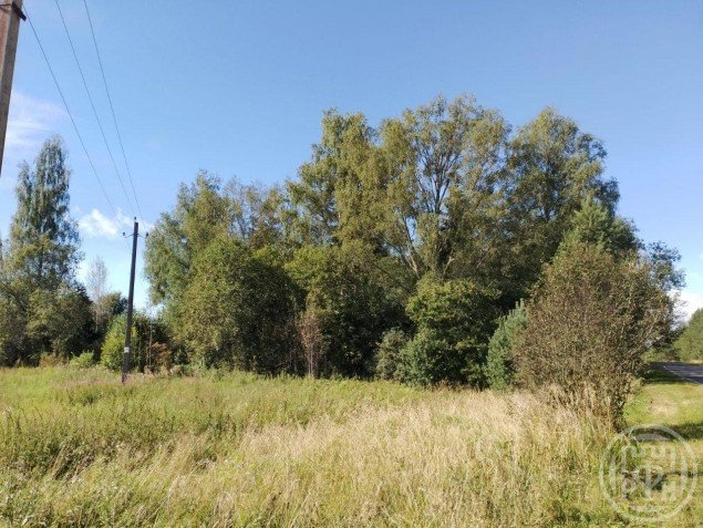 Продажа земельного участка Оредеж, Сазанова
