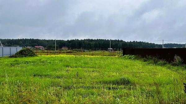 Продажа земельного участка Загорново, Школьная