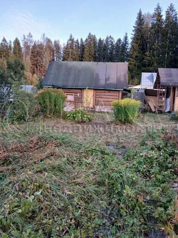 Продажа земельного участка Речное(п.Лебедевка), к.нт.