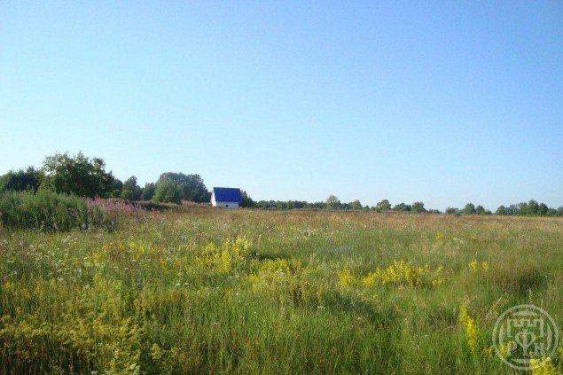 Продажа земельного массива Пчелино